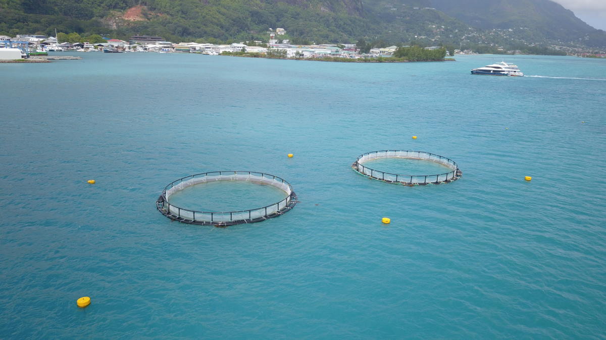 Sea Cage Site, Pilot Project – Providence – Seychelles Aquaculture